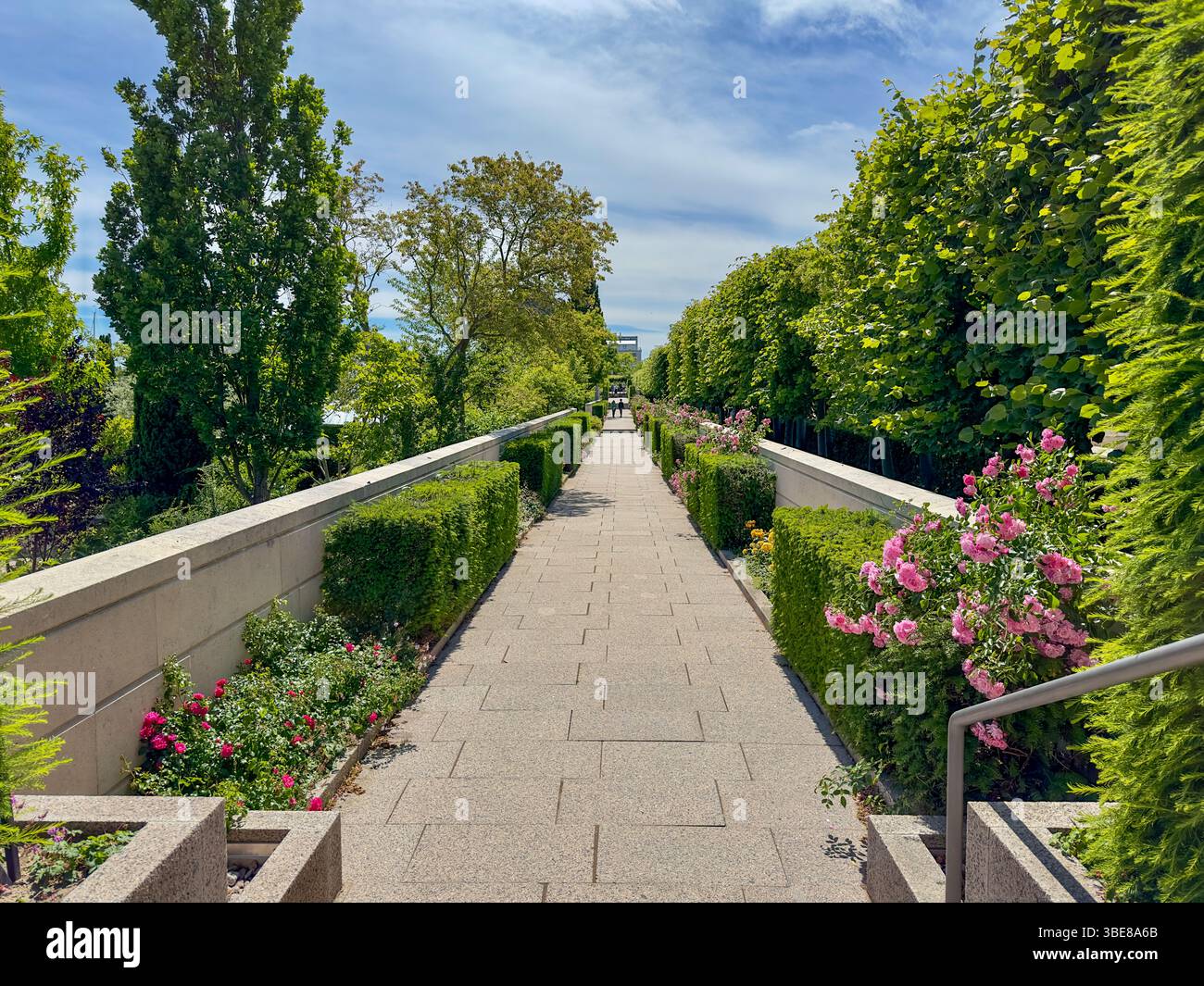 Symmetrischer Gartenweg mit Blumen und Hecken im Königlichen Garten von Kopenhagen, Dänemark - Smartphone Captured Stock Image