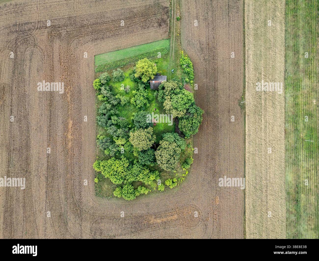 Farm among fields near Leipalingis town, Druskininkai Municipality, Alytus County of Lithuania Stock Photo
