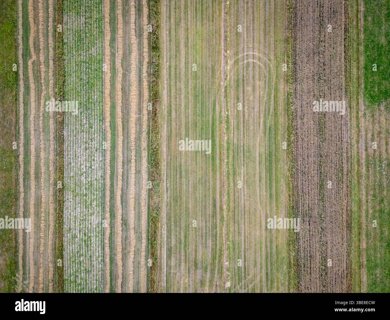 Drone view of field in Gmina Lochow, Mazowieckie region of Poland Stock Photo