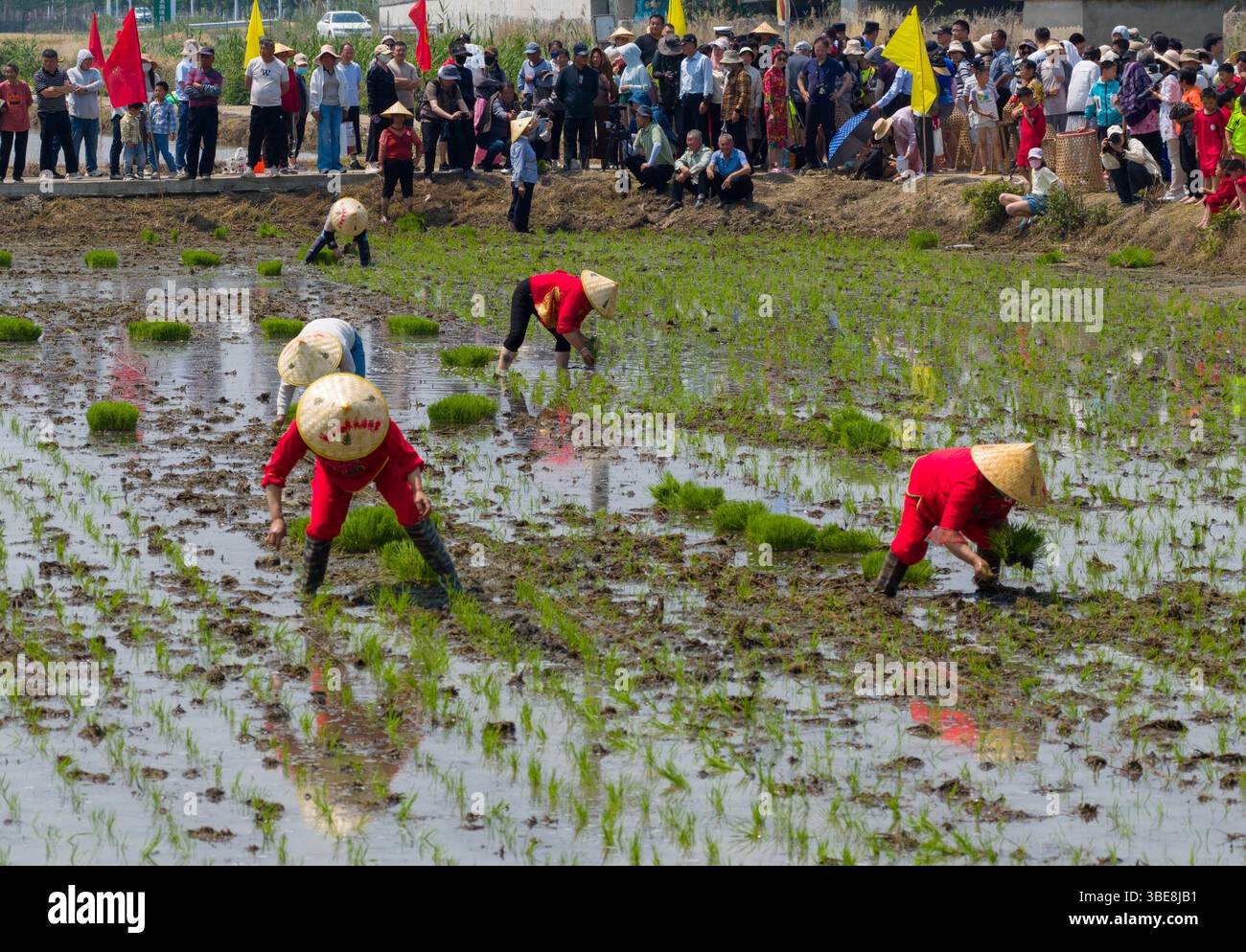 People participate in activities of a rice planting culture festival in ...