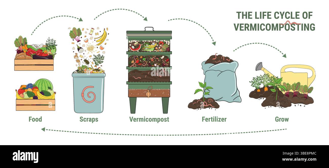 Vermicompost Stock Vector Images - Alamy, image size:1300x662
