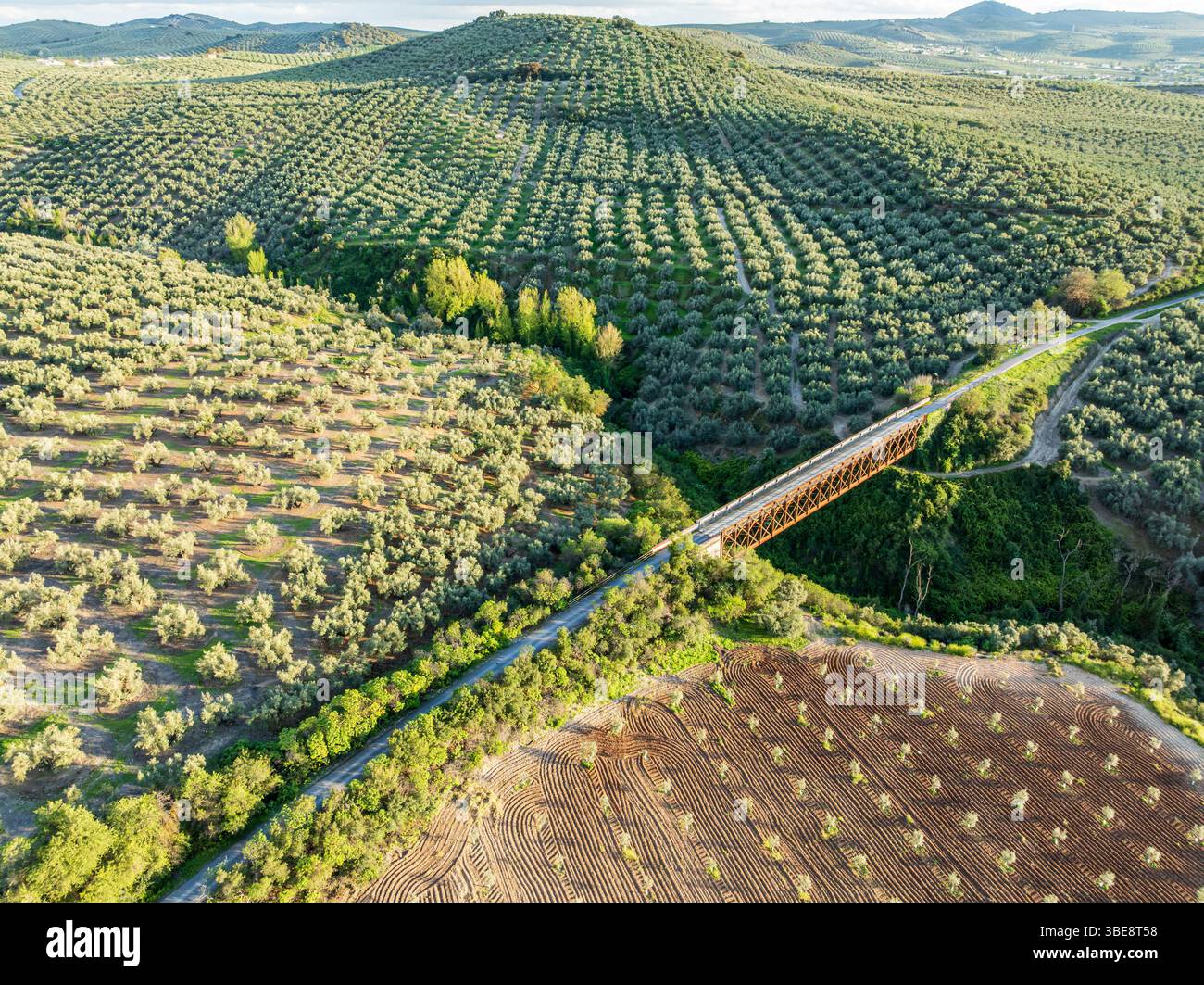 Cycle path Via Verde Del Aceite, old railroad track passes through ...