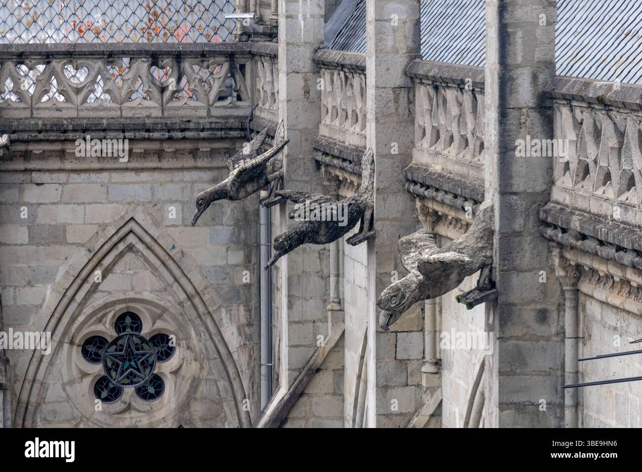 Gargoyles patterned after native Ecuadorian birds on the Basilica del Voto Nacional in Quito, Ecuador. Stock Photo