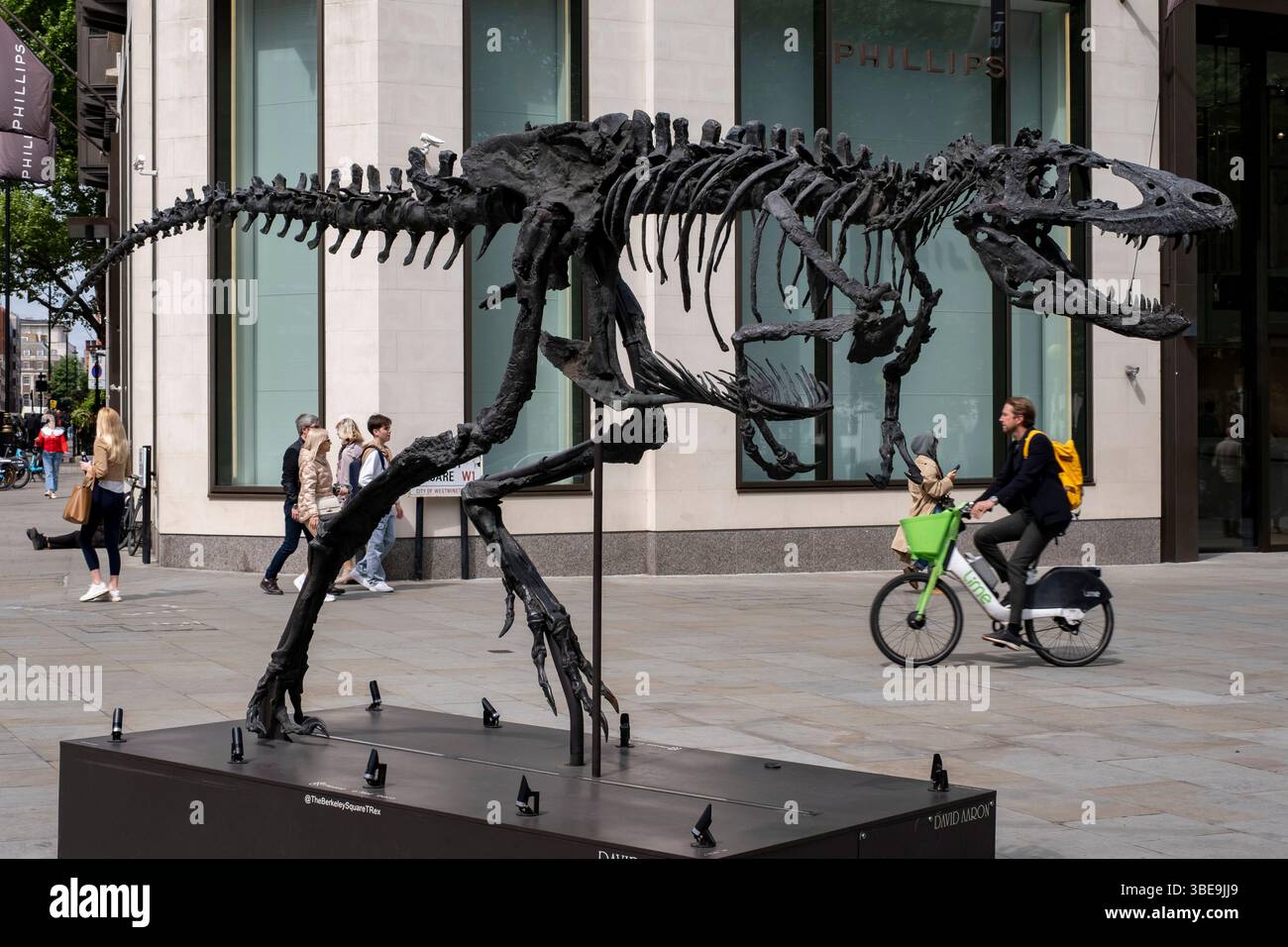 David aaron gallery hi-res stock photography and images - Alamy