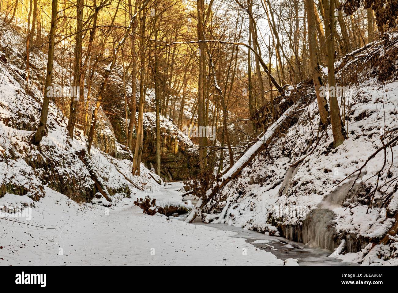 The Dragon Gorge at Eisenach in Thuringia Stock Photo