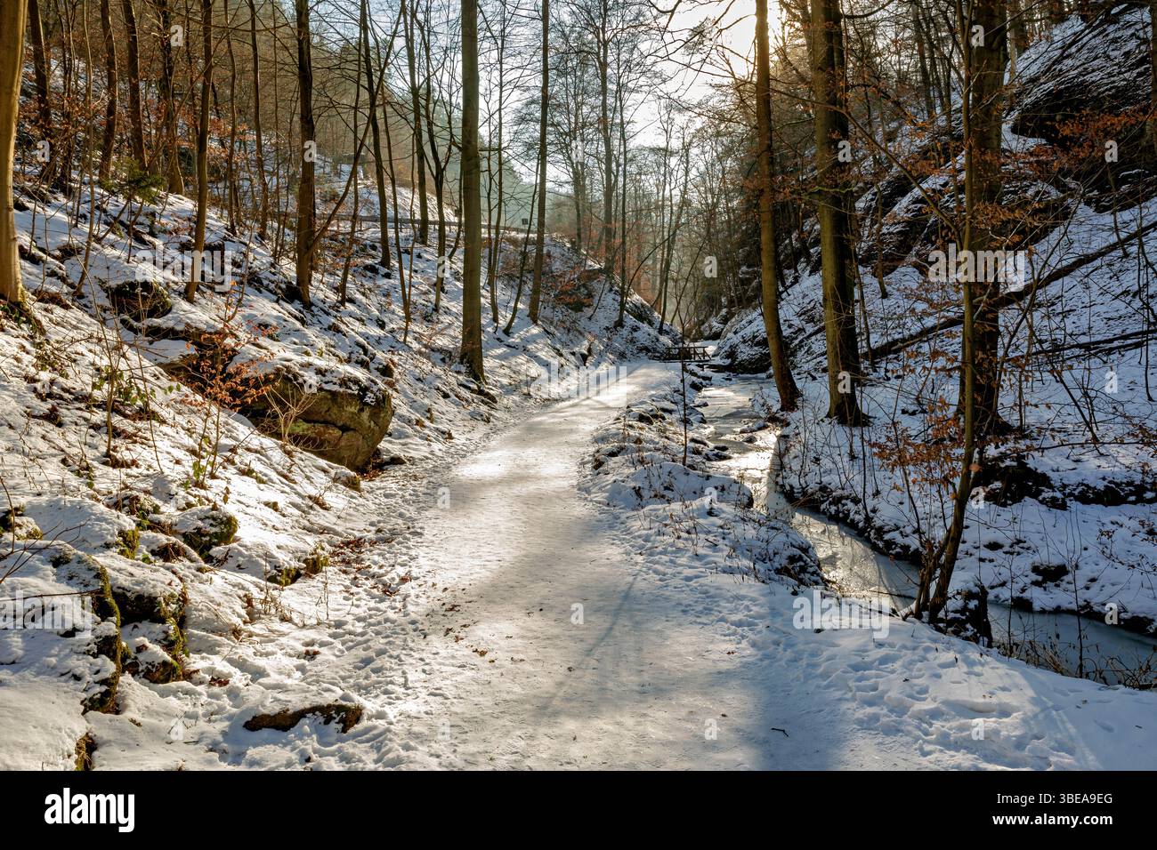 The Dragon Gorge at Eisenach in Thuringia Stock Photo
