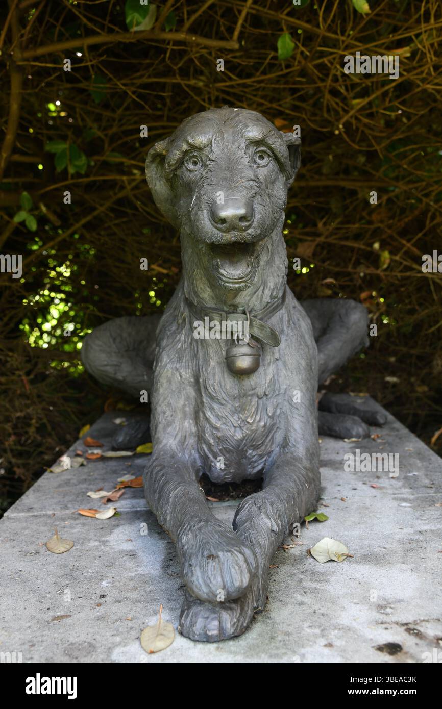 Irish wolfhound sculpture Stock Photo