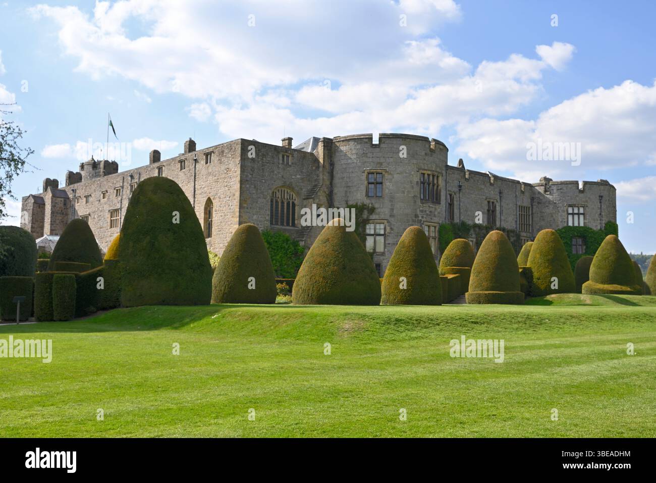 yew topiary at Chirk Castle and Garden, Wales UK May Stock Photo - Alamy