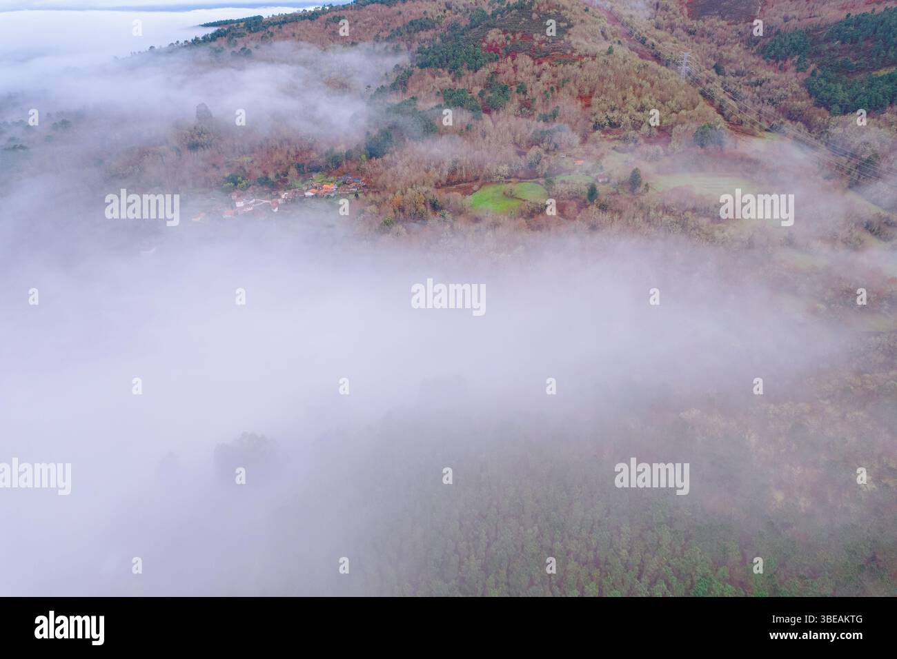 Serene aerial shot foggy forest hi-res stock photography and images - Alamy