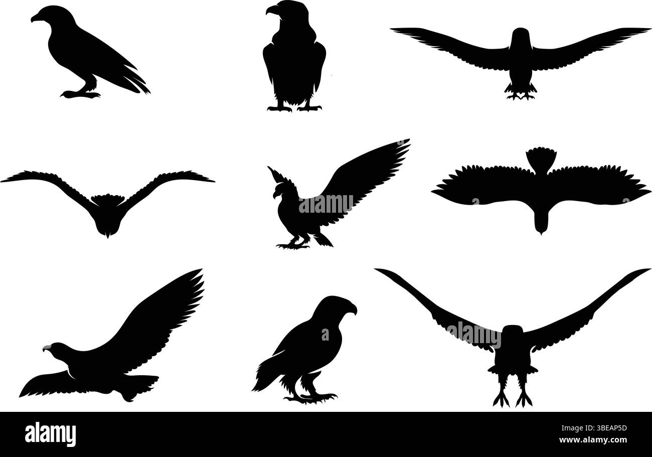 Eagle and Hawk Bird Silhouette Tattoo Design – Flying Predator Birds in Vector Form Stock Vector