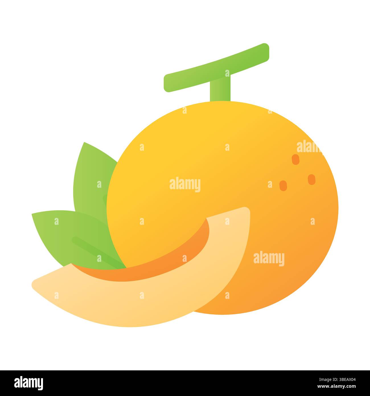 An amazing icon of melon in modern and trendy design style, ready to ...