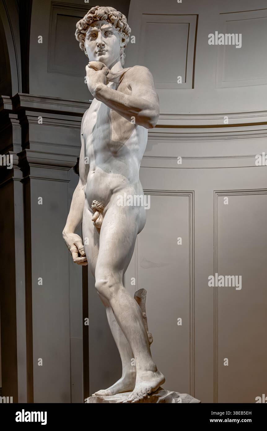 David Rennaissance Michelangelo's David, a masterpiece of Italian Renaissance sculpture in ...