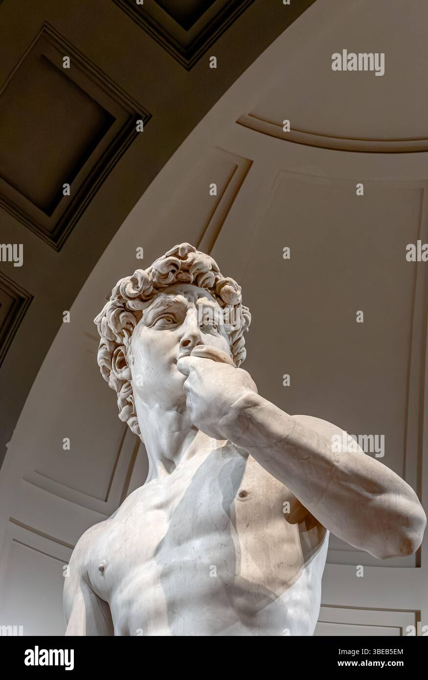 David Rennaissance Michelangelo's David, a masterpiece of Italian Renaissance sculpture in ...