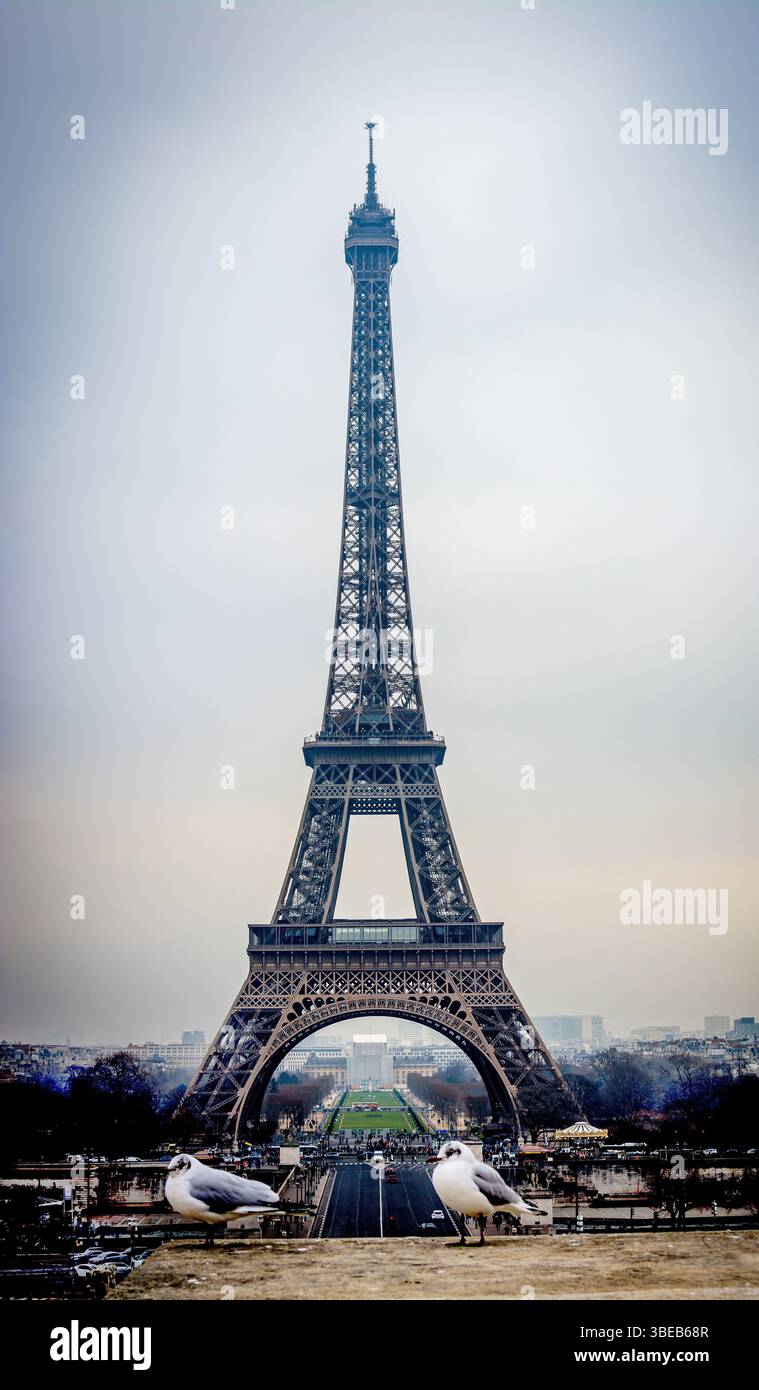 Eiffel Tower looms majestically against a gray sky in Paris, with seagulls resting nearby. The landmark offers a stunning urban backdrop. Paris.France Stock Photo