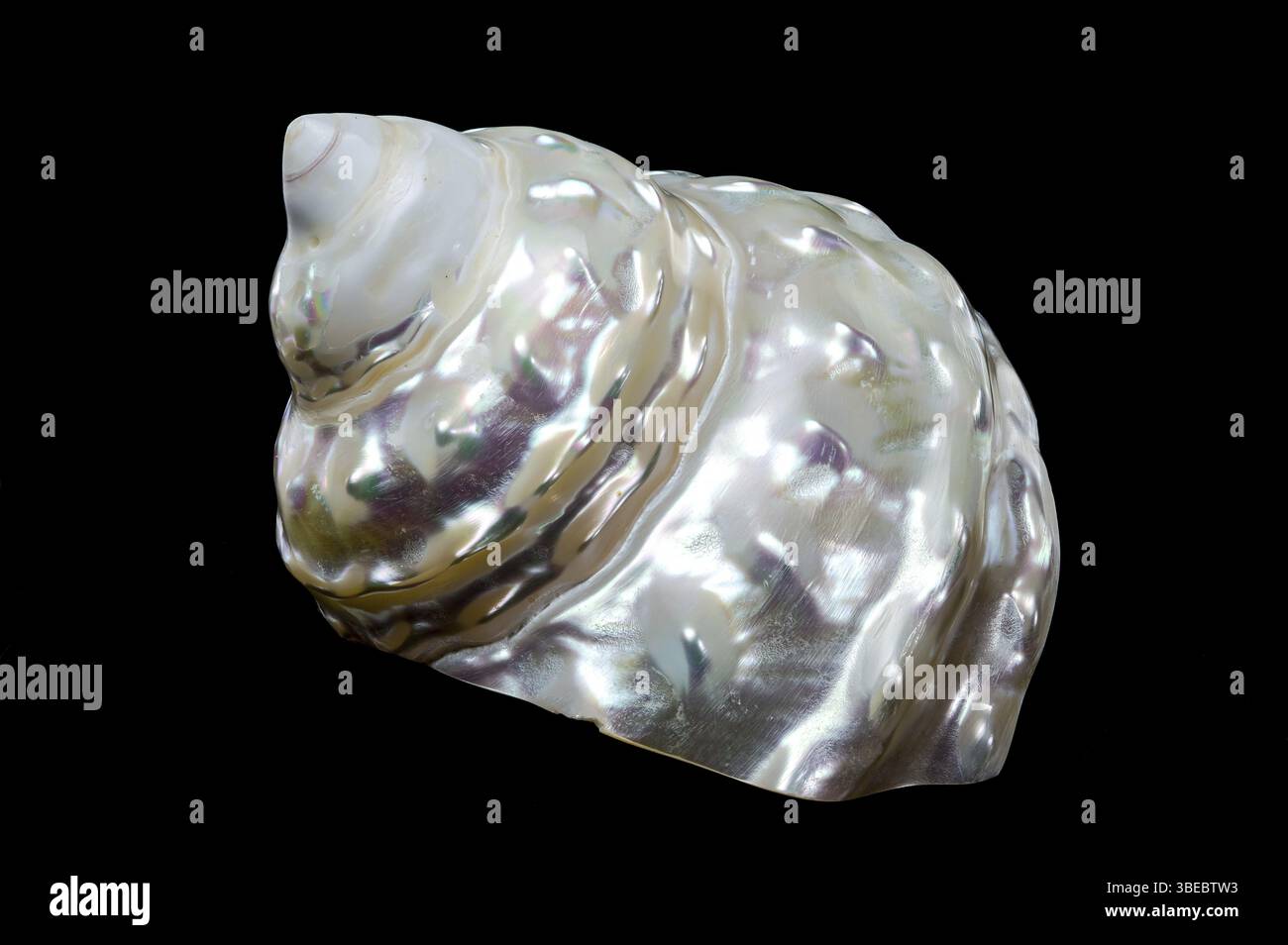 Pearlized texture hi-res stock photography and images - Alamy