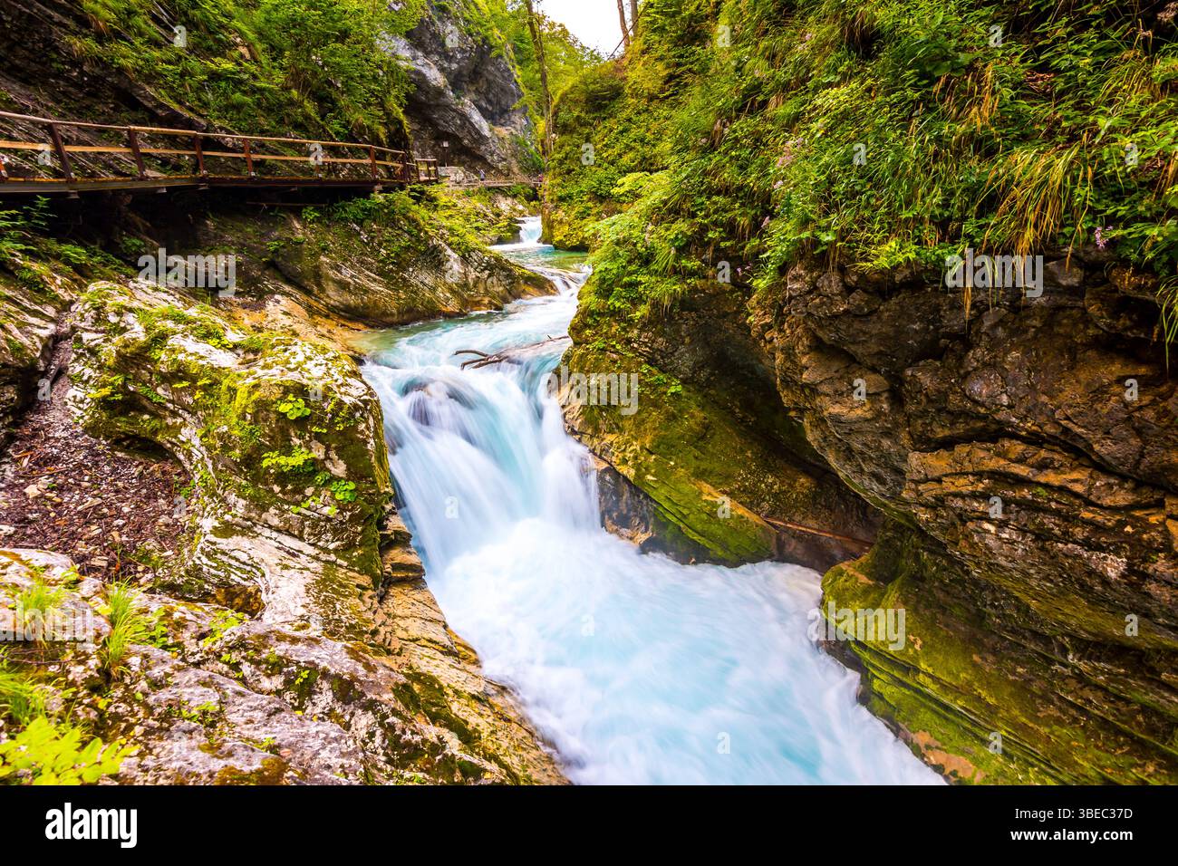 Vintgar gorge, Slovenia. The Radovna river with wooden paths and bridge above. Beautiful water river in Triglav national park. Waterfall, forest and f Stock Photo