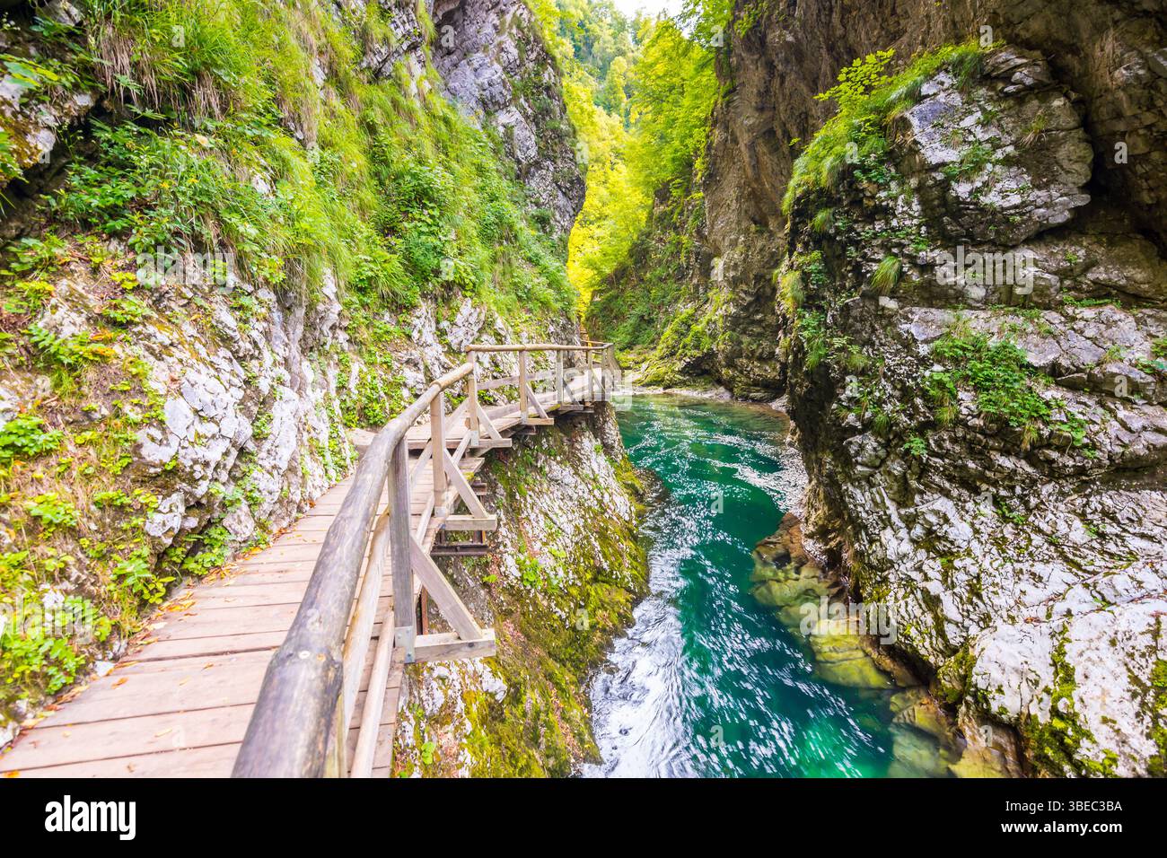 Vintgar gorge, Slovenia. The Radovna river with wooden paths and bridge above. Beautiful water river in Triglav national park. Waterfall, forest and f Stock Photo
