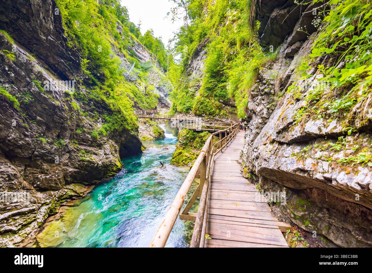 Vintgar gorge, Slovenia. The Radovna river with wooden paths and bridge above. Beautiful water river in Triglav national park. Waterfall, forest and f Stock Photo