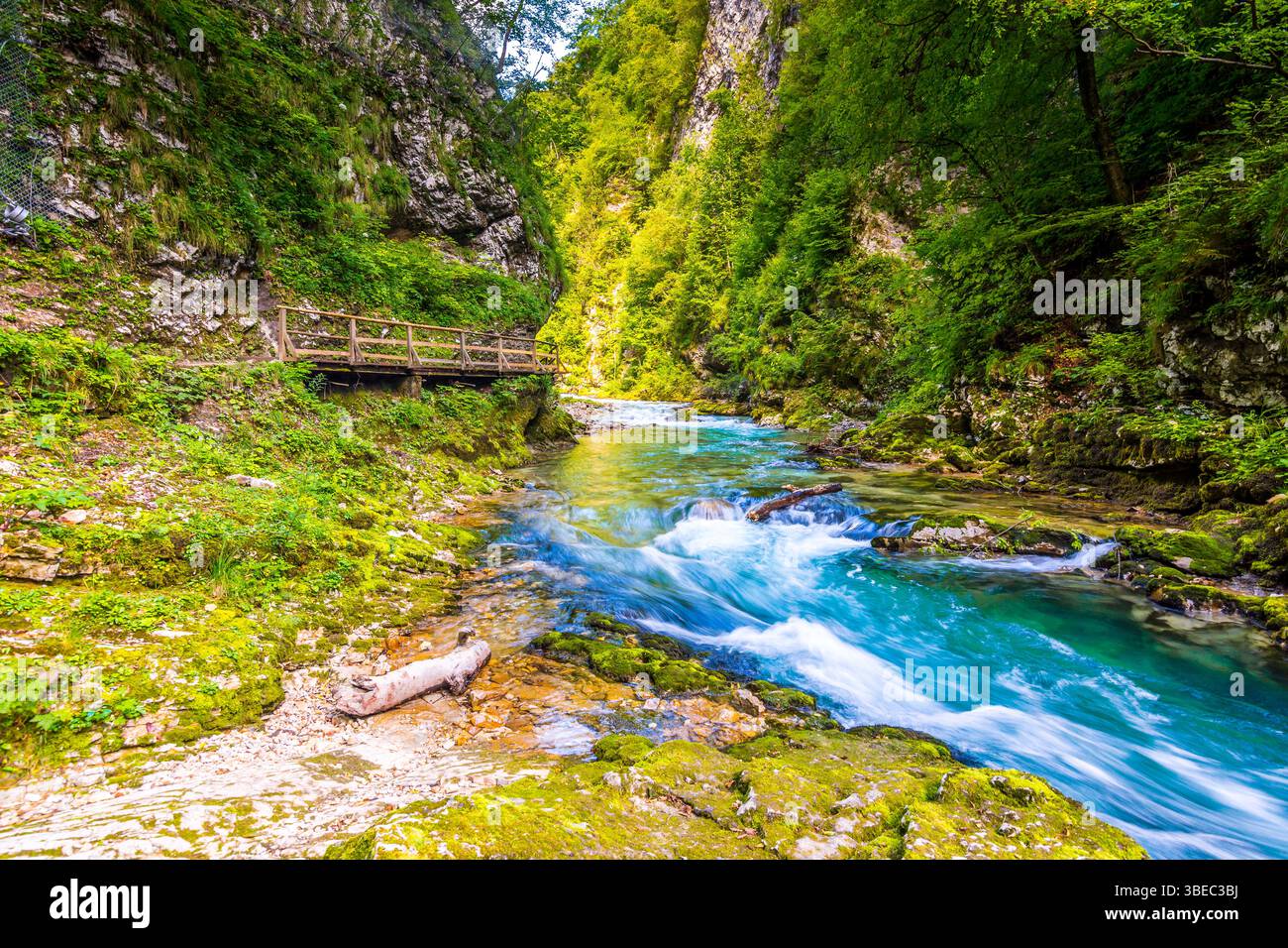 Vintgar gorge, Slovenia. The Radovna river with wooden paths and bridge above. Beautiful water river in Triglav national park. Waterfall, forest and f Stock Photo