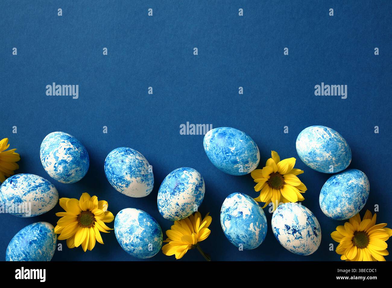 Blue and white Easter eggs with yellow flowers. Happy Easter card Stock Photo