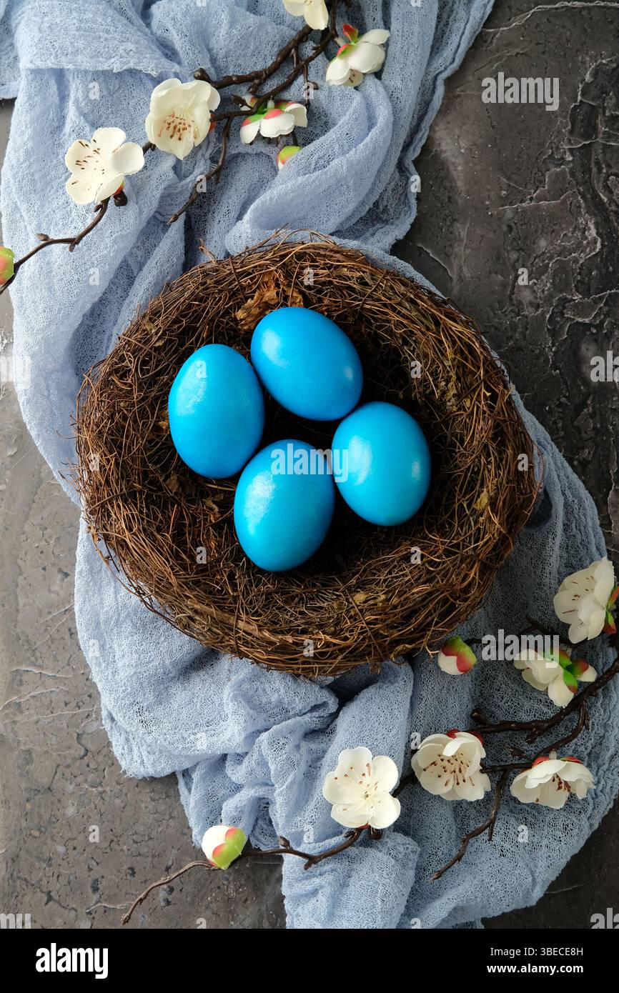Top view blue Easter eggs in nest with cherry blossoms branches. Stock Photo