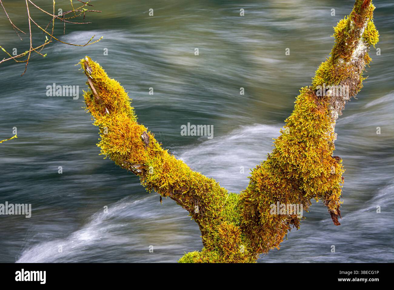 Die spektakulären Wasserfälle und der wilde Flusslauf des Hérisson im französischen Jura Stock Photo