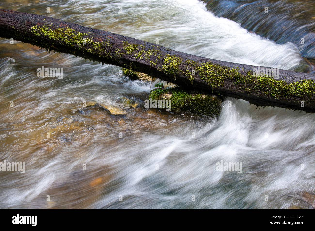 Die spektakulären Wasserfälle und der wilde Flusslauf des Hérisson im französischen Jura Stock Photo