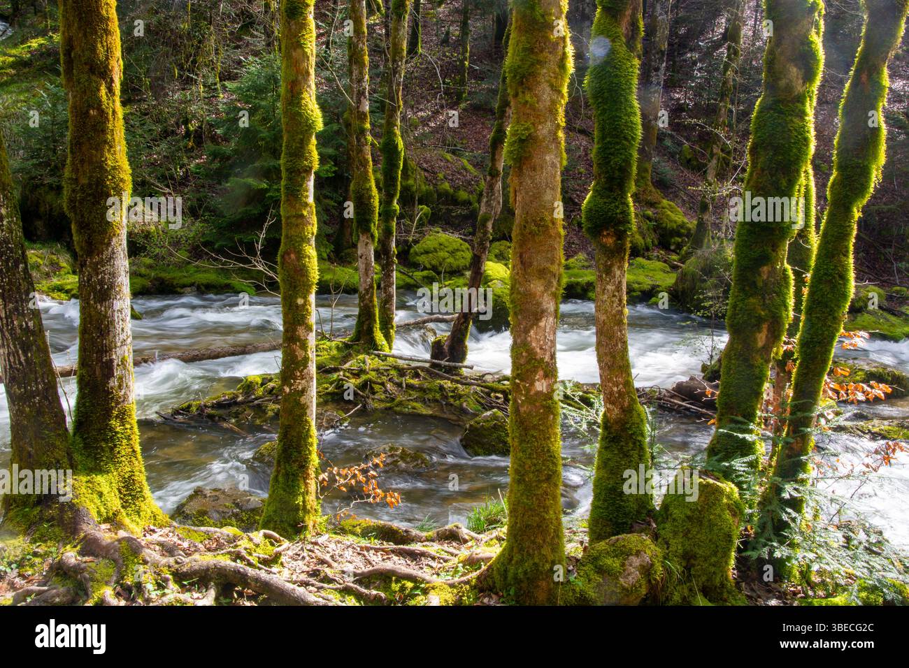 Die spektakulären Wasserfälle und der wilde Flusslauf des Hérisson im französischen Jura Stock Photo
