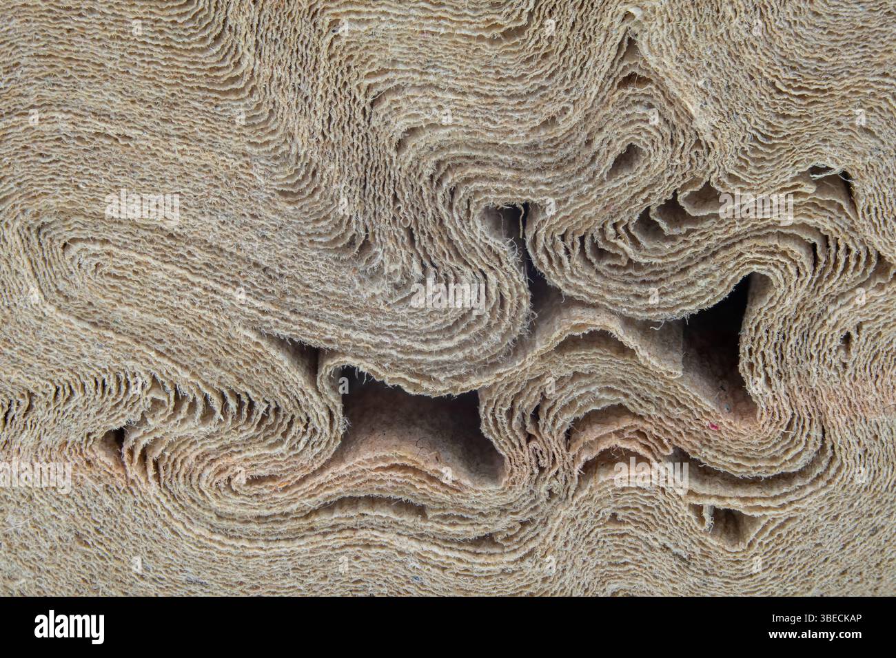 Stringiness A detailed macro photograph showcasing the intricate and layered ...