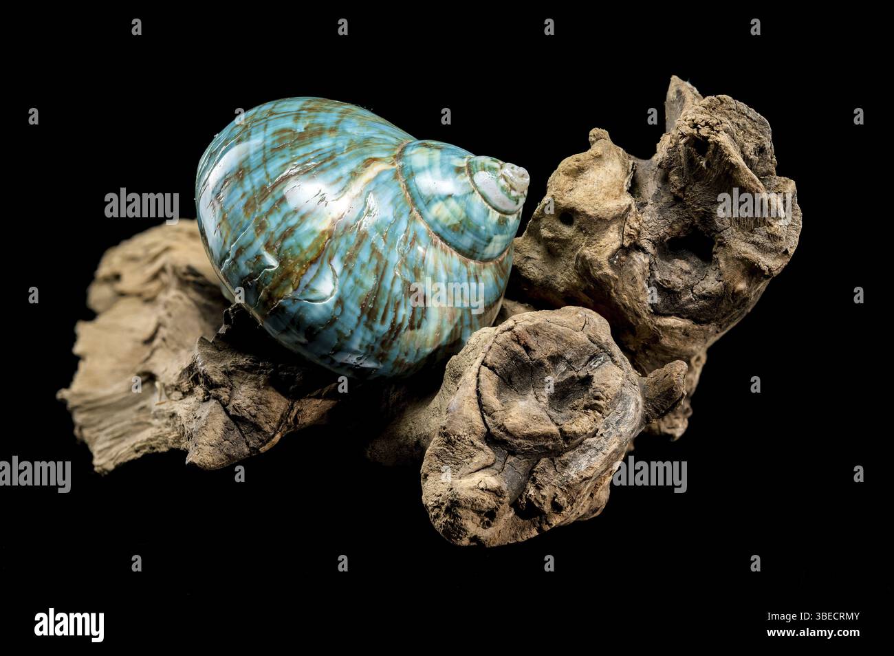 Swirling patterns of deep black hi-res stock photography and images - Alamy