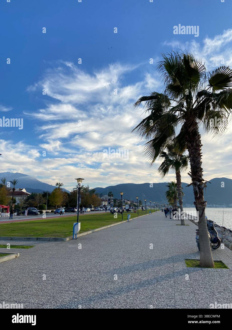 Palm trees and mountains in a scenic park setting under a blue sky in Turkey. - Smartphone Captured Stock Image