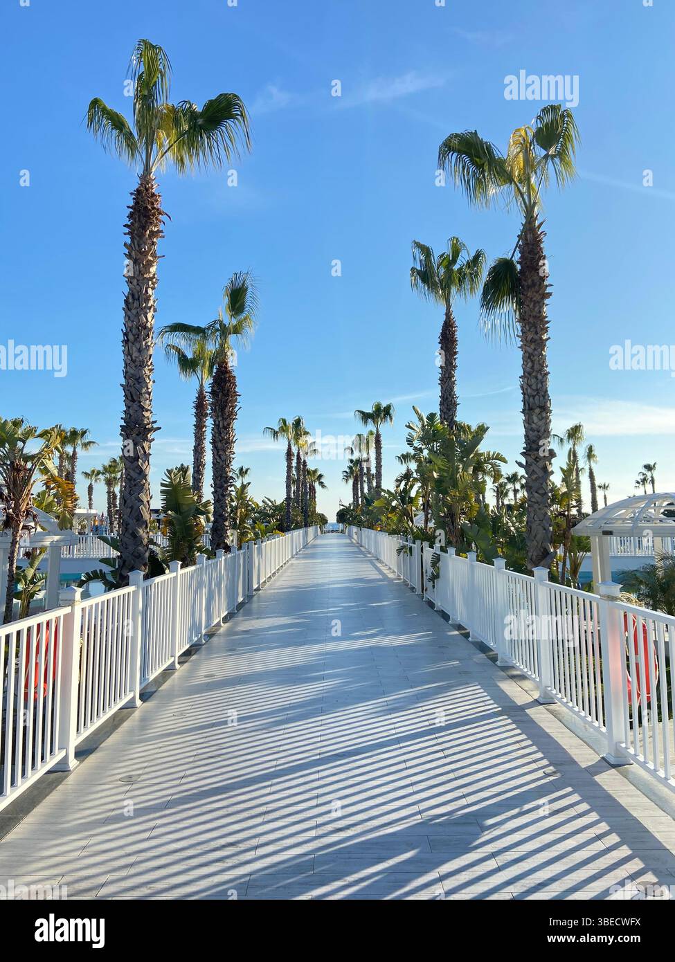 Palm-lined pedestrian bridge under a clear blue sky in a sunny urban setting in Turkey. - Smartphone Captured Stock Image
