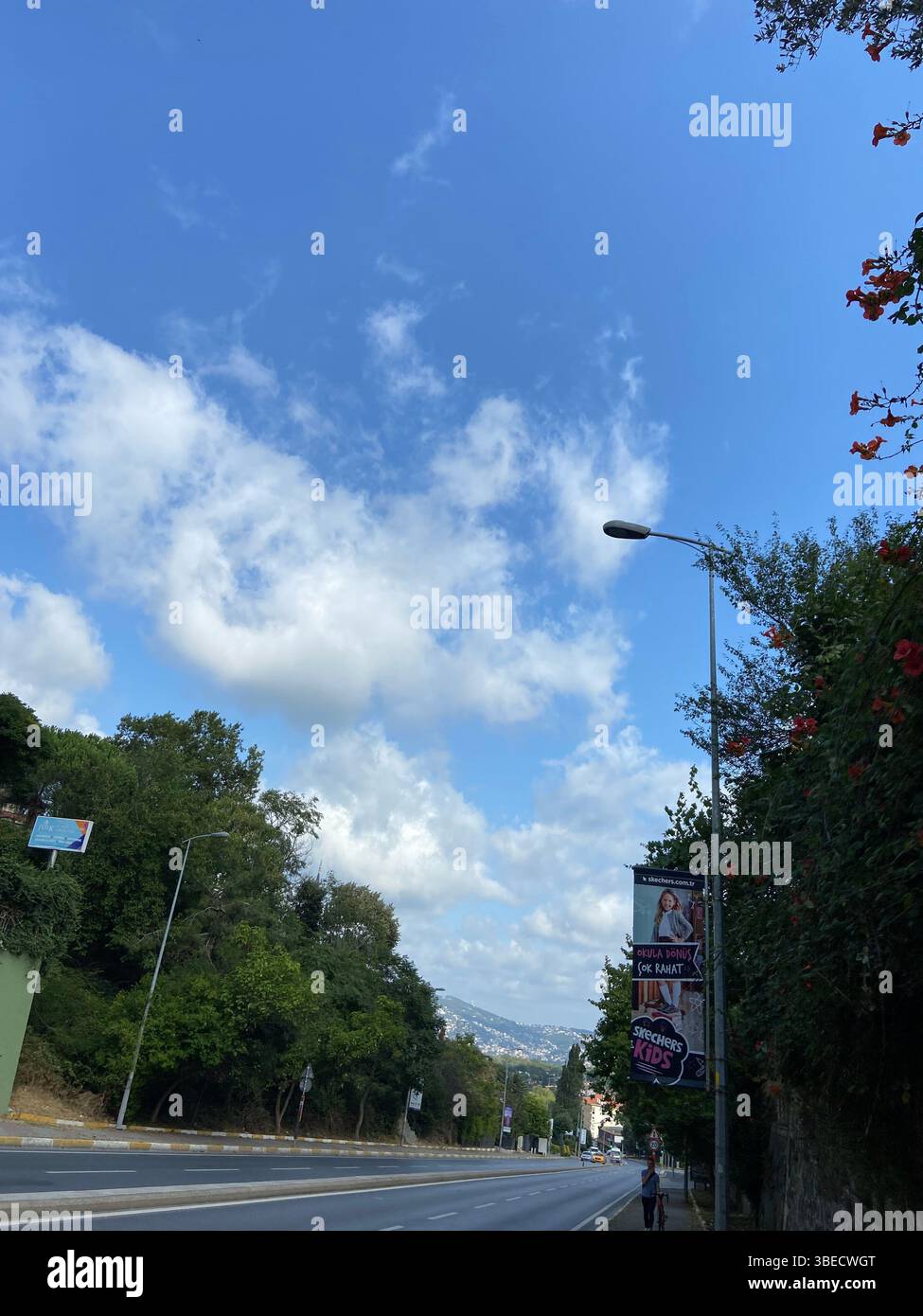 Sky view with trees and a street lamp in an urban area under a clear blue sky in Turkey. - Smartphone Captured Stock Image