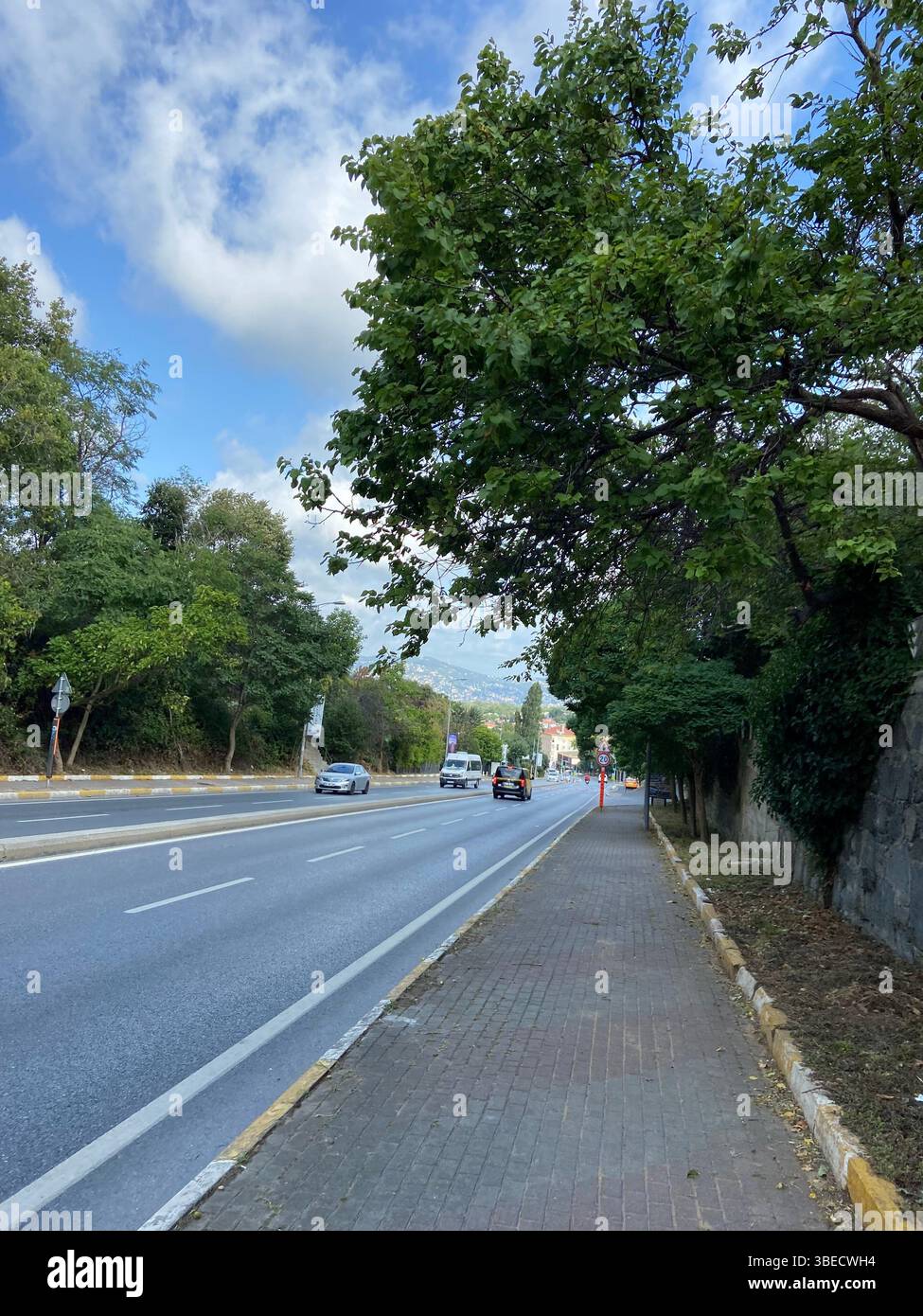 Empty road with a tree canopy and sidewalk in an urban environment under a cloudy sky in Istanbul. - Smartphone Captured Stock Image
