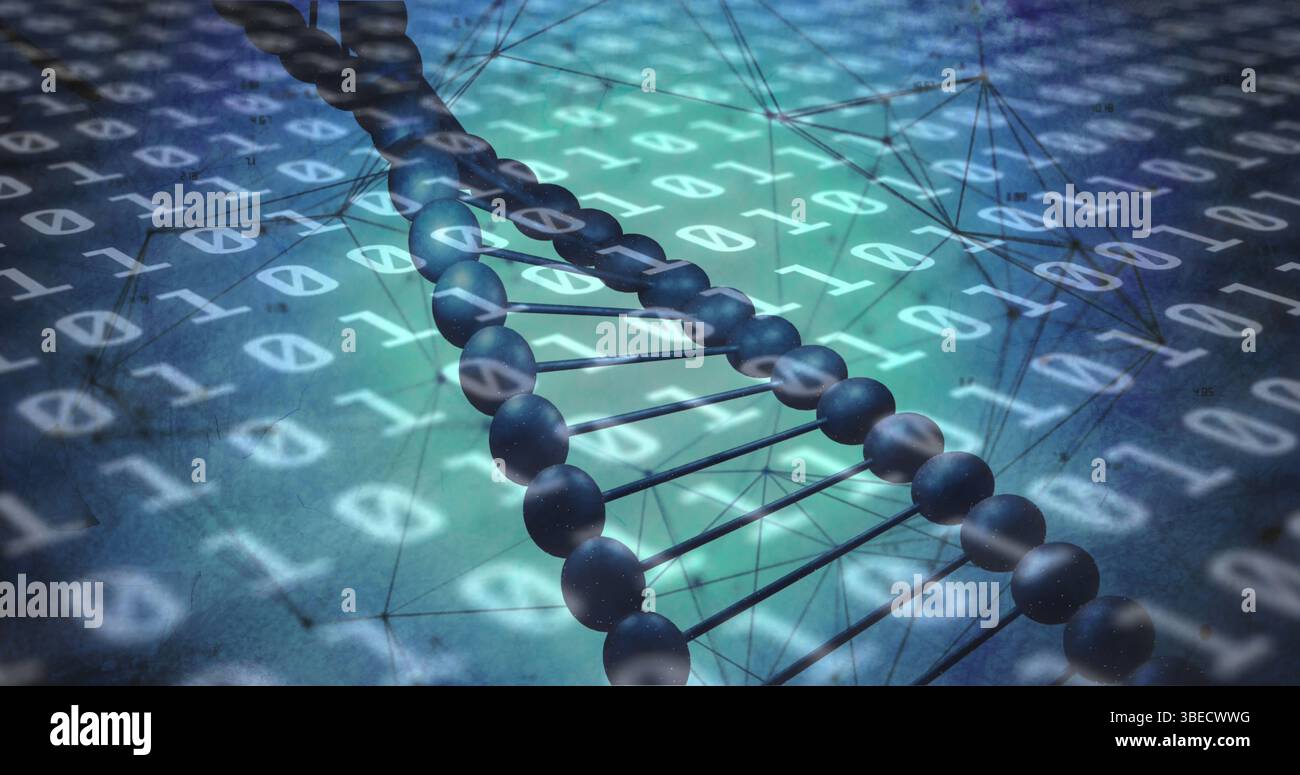 Image of binary coding data processing over dna strand spinning Stock Photo