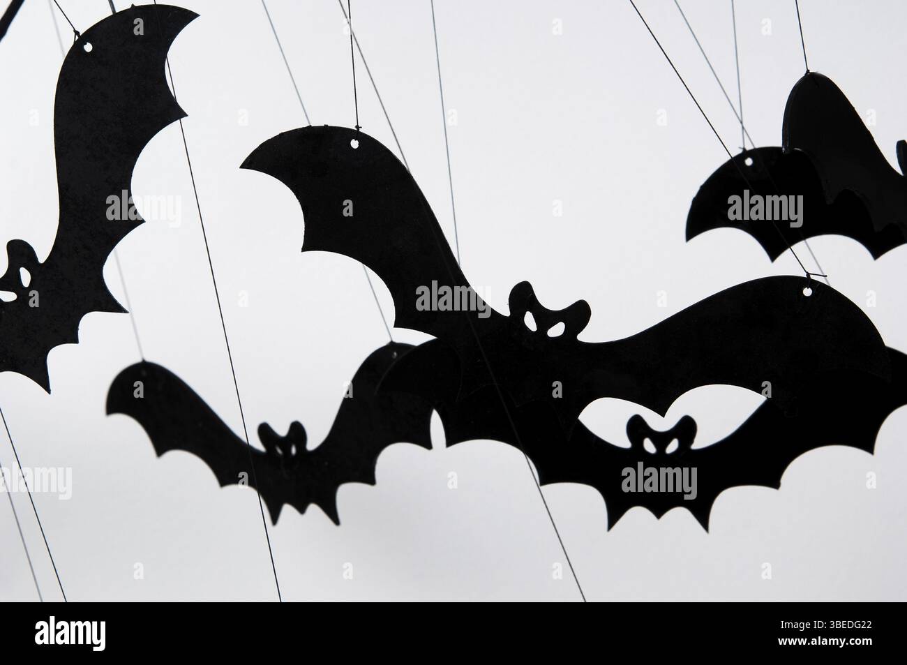 Halloween silhouette of many black bats on a white background Stock ...