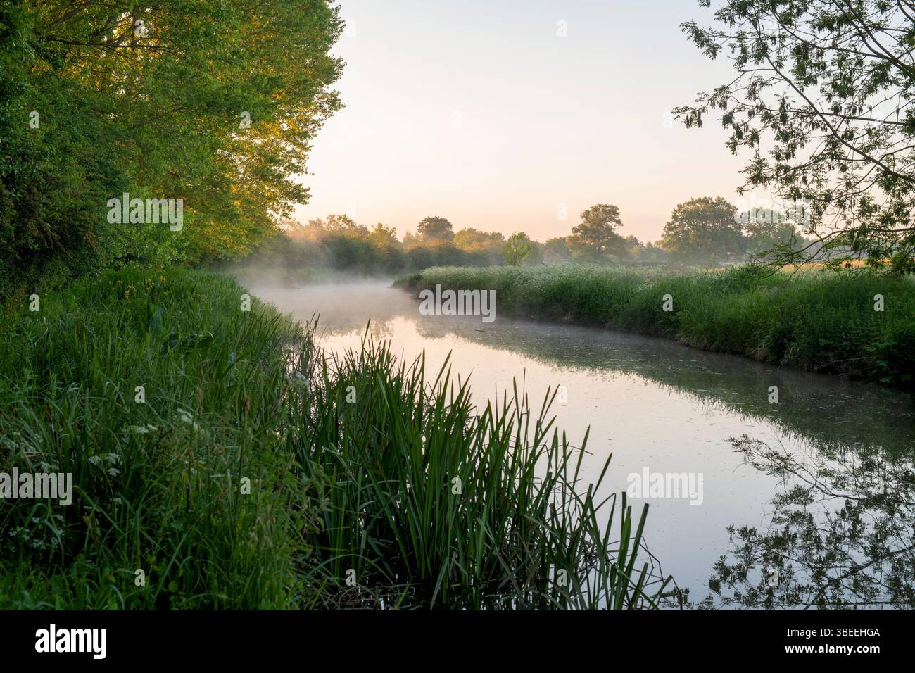 Early misty spring morning on the Oxford canal. Banbury, Oxfordshire ...