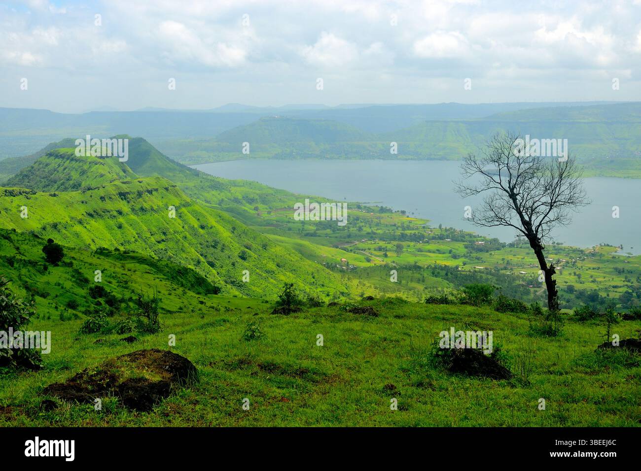 Scenic view of the Sahyadri Mountain Ranges, near Kaas Pathar, a famous ...