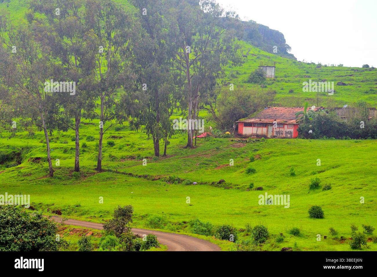 Scenic view of the Sahyadri Mountain Ranges, near Kaas Pathar, a famous ...