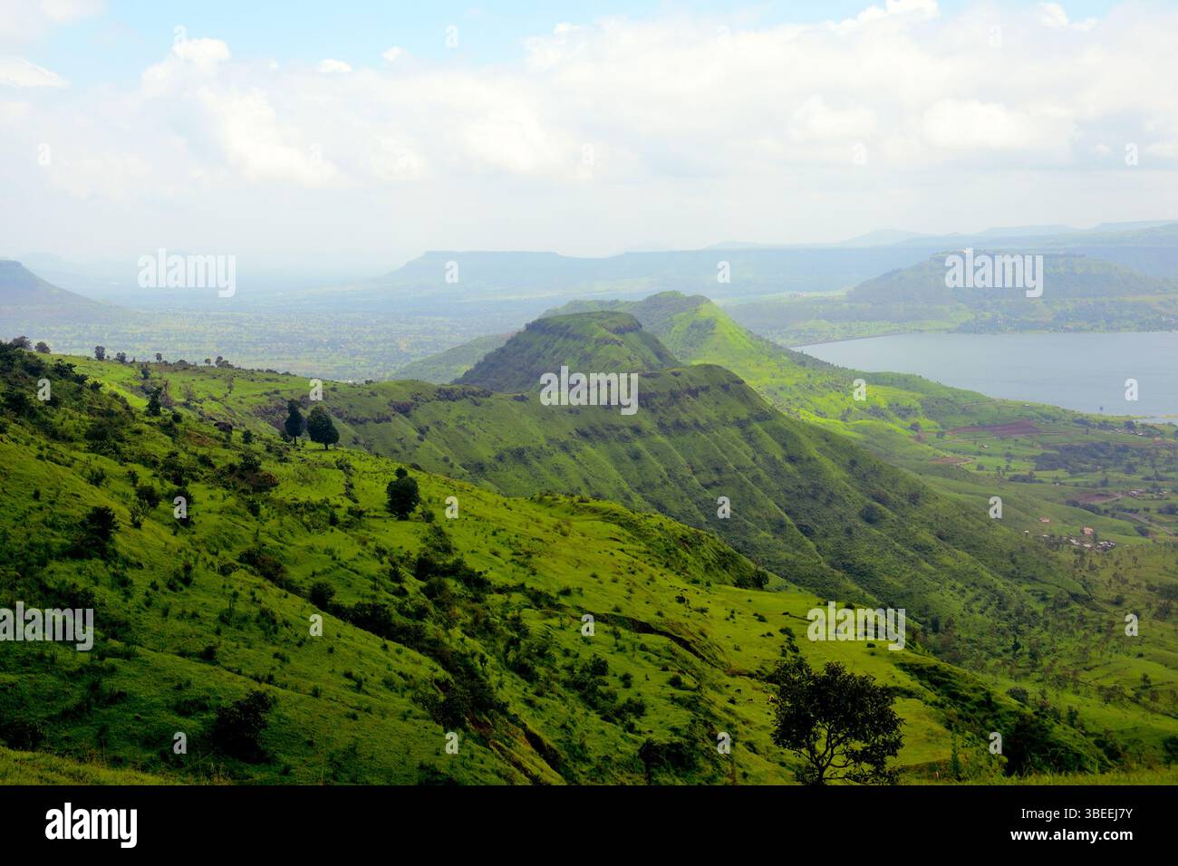 Scenic view of the Sahyadri Mountain Ranges, near Kaas Pathar, a famous ...