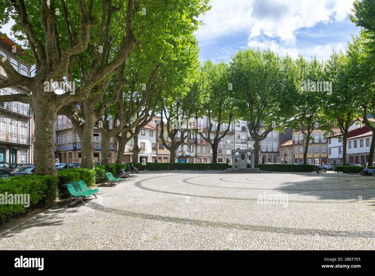 Trees around city park Jardim do Largo Condessa do Juncal, city centre of Guimaraes, northern Portugal, Europe Stock Photo