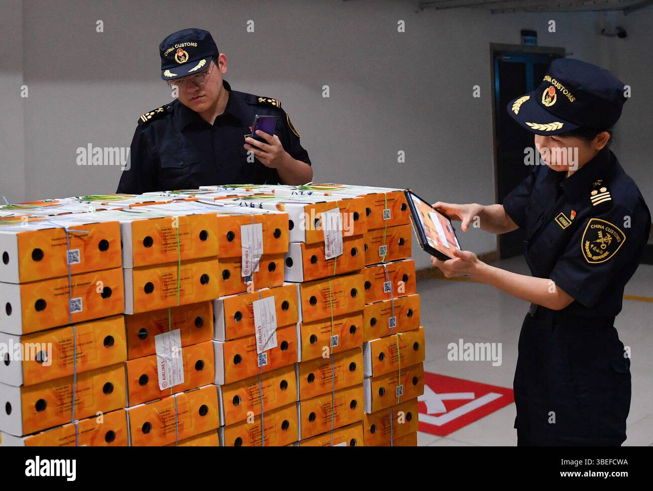 (250529) -- CHANGSHA, May 29, 2025 (Xinhua) -- Customs officers verify ...