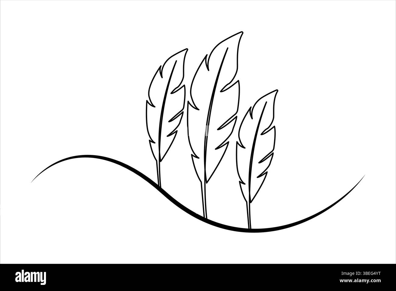 Continuous one line art drawing of Bird feather outline vector ...