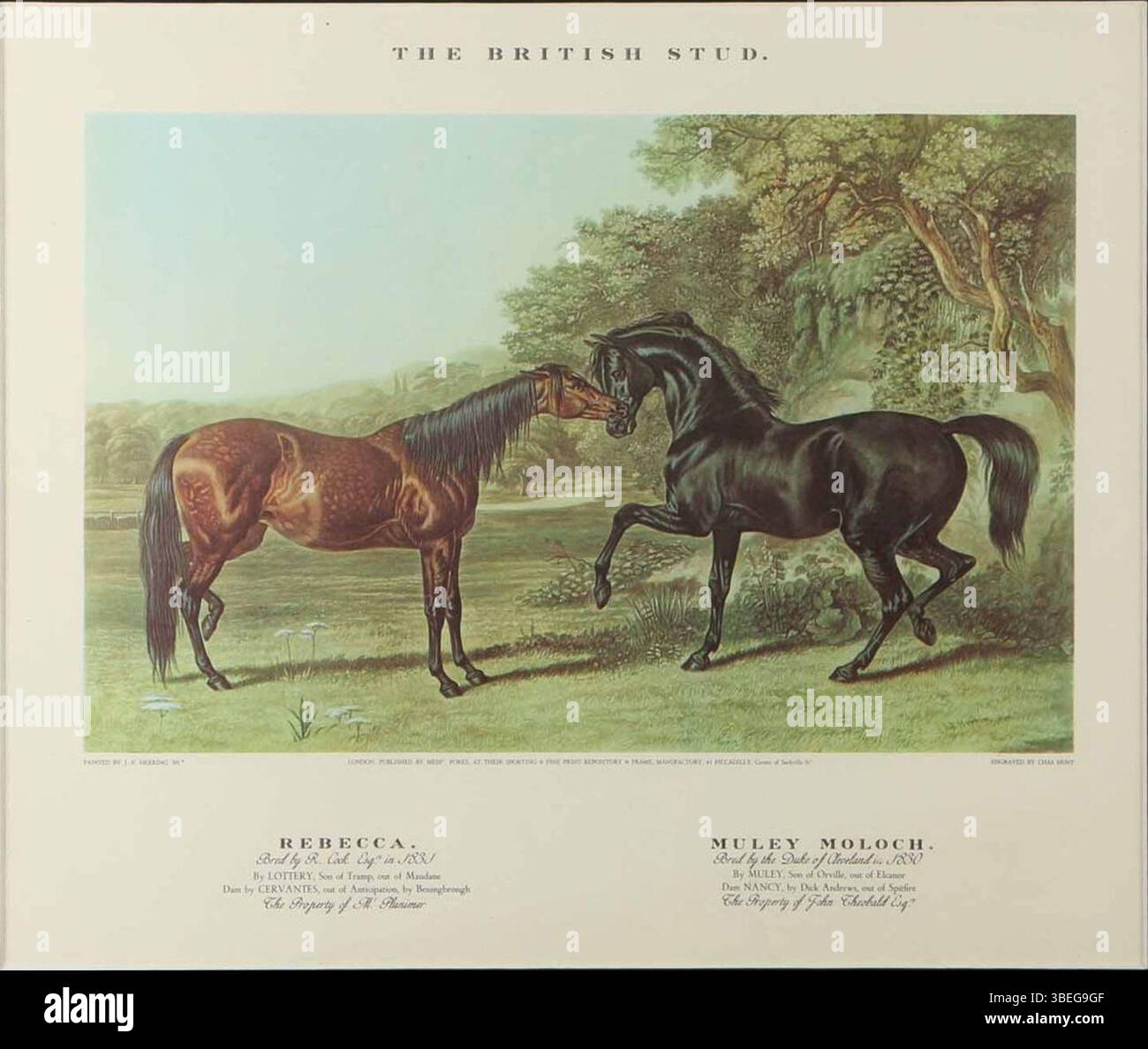 19th century horse racing britain hi-res stock photography