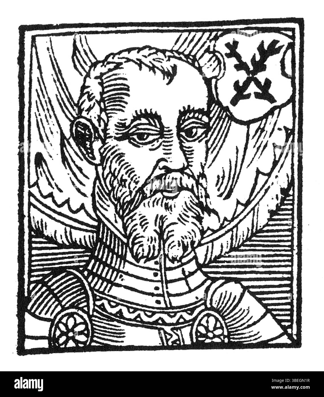 This fictional portrait, crafted by Bartolomej Paprocký in 1602, illustrates Hynek Krusina I of the Lichtenburg family. As part of the 'Diadochus' series, it offers a symbolic view of this noble figure, encapsulating the artistic style of the period while preserving the historical and noble context of Moravia in the late Renaissance era. Stock Photo