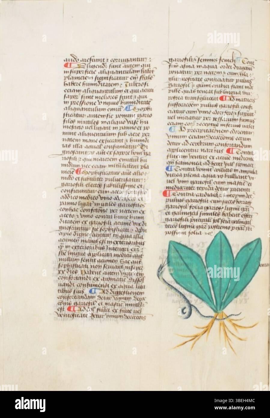 Fifteenth Century Script Folio 66v of Estense alfa.l.09.28, created in 1458, presents a medieval ...