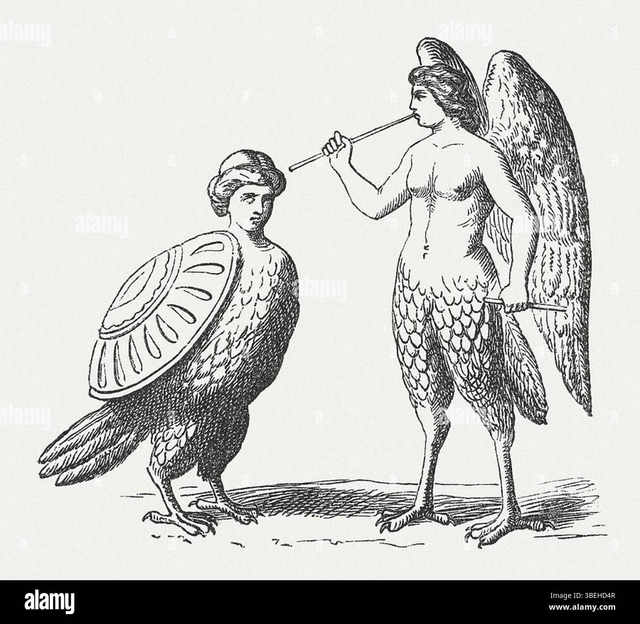 This 1878 woodcut engraving depicts Harpies, female monsters from Greek and Roman mythology. Known for their bird-like features and predatory nature, Harpies are often associated with vengeance and punishment. Stock Photo