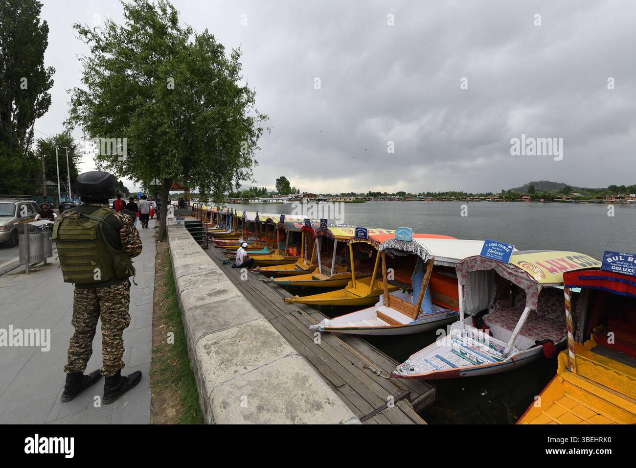 May 29, 2025, Srinagar, Jammu And Kashmir, India: An Indian ...