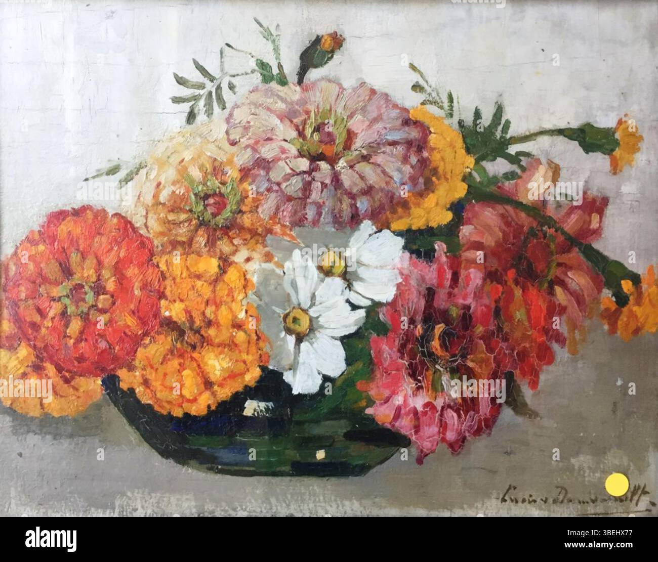 Oil on panel (35×27 cm) by Lucie van Dam van Isselt showing a cluster of zinnia blossoms in red, pink, and white arranged in a low pot on a dark surface. Stock Photo