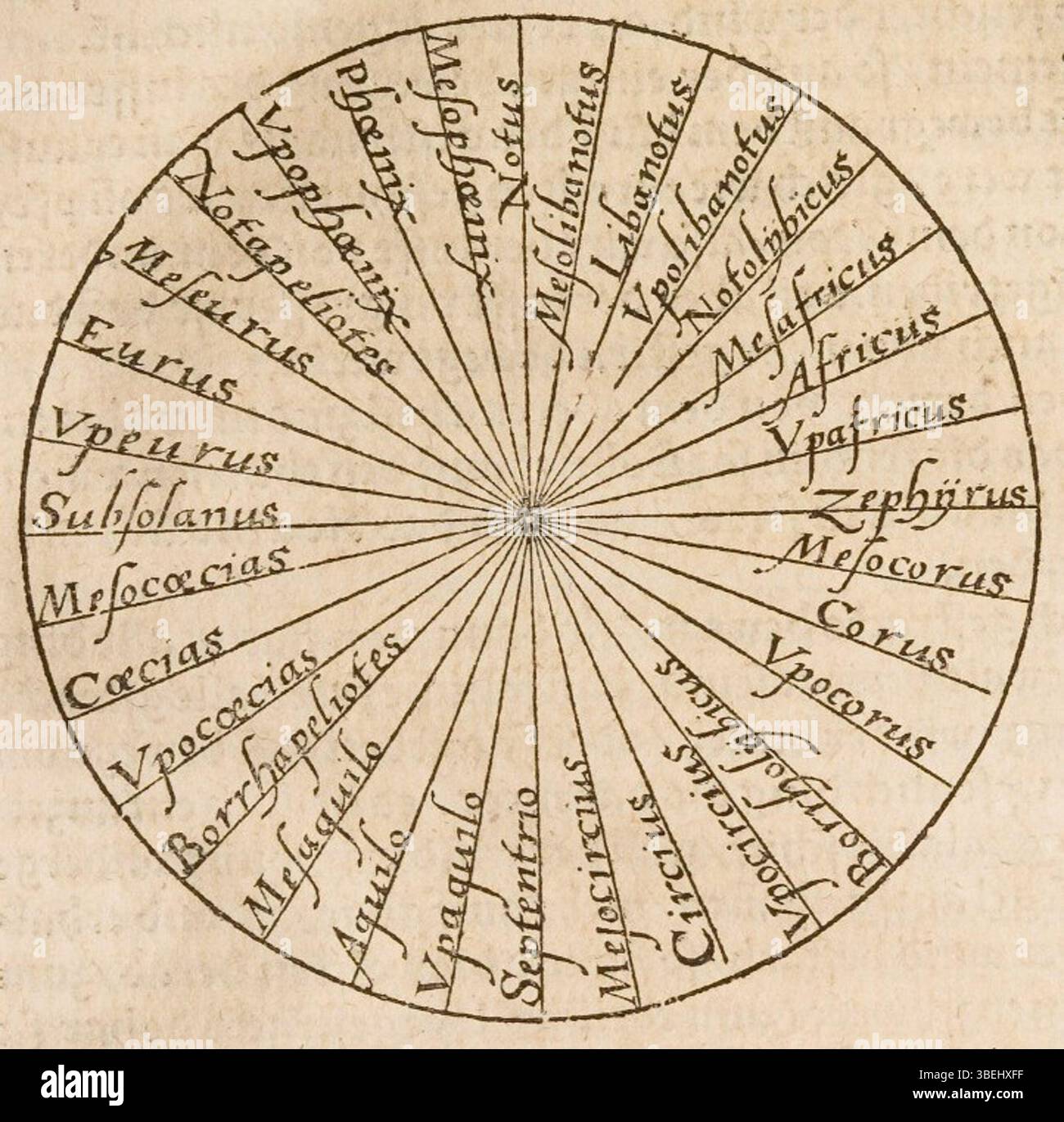 Cardanus hi-res stock photography and images - Alamy